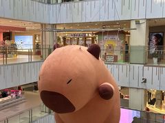 -凯德MALL(西直门店)
