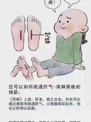 -香薇妮丝女子减肥院