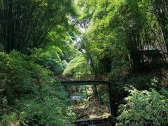 -川西竹海景区