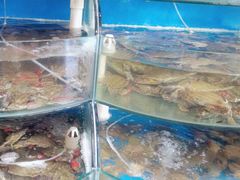 -蓝珊甄选海鲜自助·火锅大排档(近阿那亚店)