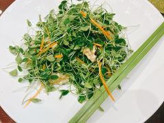 桃仁香椿苗-中国徽菜·徽商故里(广安门店)