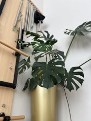 -U+YOGA优伽瑜伽·普拉提