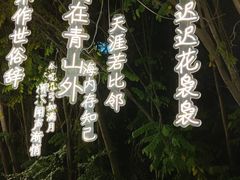 -皇家御河游(紫御湾码头)