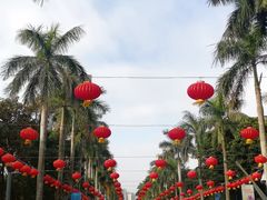 -万绿园