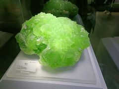 -湖南省地质博物馆