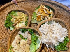 -滇野云南野生菌餐厅(陕西南路店)