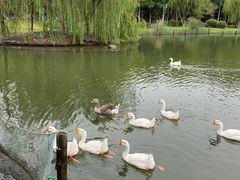 -杭州师范大学(下沙校区)