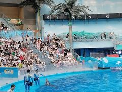 -海合安成都极地海洋公园