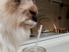 -灯塔咖啡馆BOOK·Coffee Shop