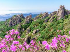 -崂山巨峰游览区