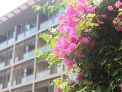 -三亚亚龙湾红树林度假酒店