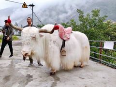 -叠溪松坪沟景区