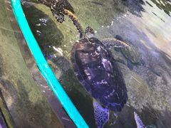 -鸿通城购物中心