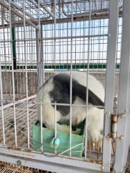 -小蜜蜂农场(凯德七宝购物广场店)