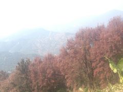 iphone_upload_pic-广州市石门国家森林公园