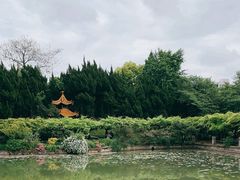 -嘉定紫藤园