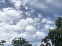 -张掖大佛寺景区