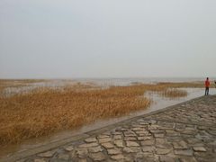 android_upload_pic-南汇嘴观海公园