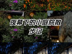 -三圣花乡旅游区