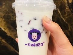 -一只酸奶牛(八一路店)