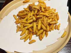 -滇野云南野生菌餐厅(陕西南路店)