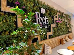 -Peet's Coffee皮爷咖啡(豫园店)