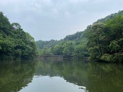 -青城山