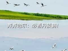 -黑龙江扎龙生态旅游区