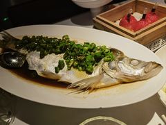 -桂满陇·海市蜃楼·黑金(国金店)