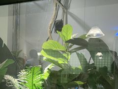 -泮金大塘(北二七路店)