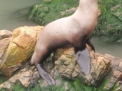 -西霞口神雕山野生动物世界