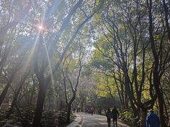 -东湖落雁景区