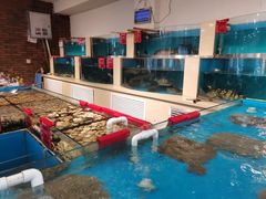 -普天和酒楼·新津菜·烤鸭(天津之眼店)