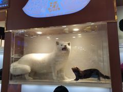 -步瀛斋(大栅栏西街店)