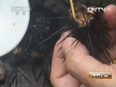^_^CCTV^_^-新欢海鲜坊(赖屋店)