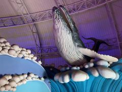 -烟台海昌鲸鲨海洋公园