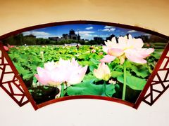 -莲花池公园