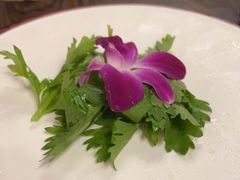 -醉美东江·三文鱼·烧鸡公