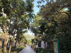 -石排湾郊野公园