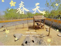 -济南野生动物世界