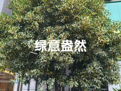 -中国邮政储蓄银行(鞍山路营业所)