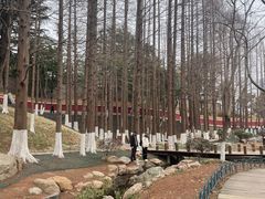 -湛山寺
