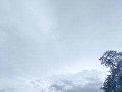-惠州西湖丰渚园