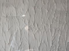 -眞宗·椰汁是大王(小娄巷店)