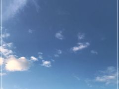 -七鲜渔港美食餐厅(巽寮湾海景店)