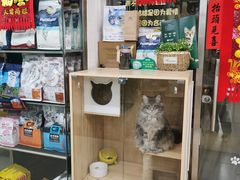 -宝鸡东道花鸟鱼虫市场(吉利花园商场店)