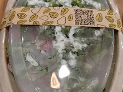 -油梨树 AVOCADO TREE(亮马桥店)