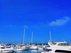 -巧克力渔家.小船海鲜家常菜(万平口店)