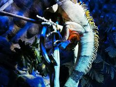 -北京野生动物园