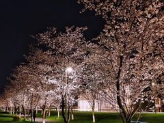-良渚文化村